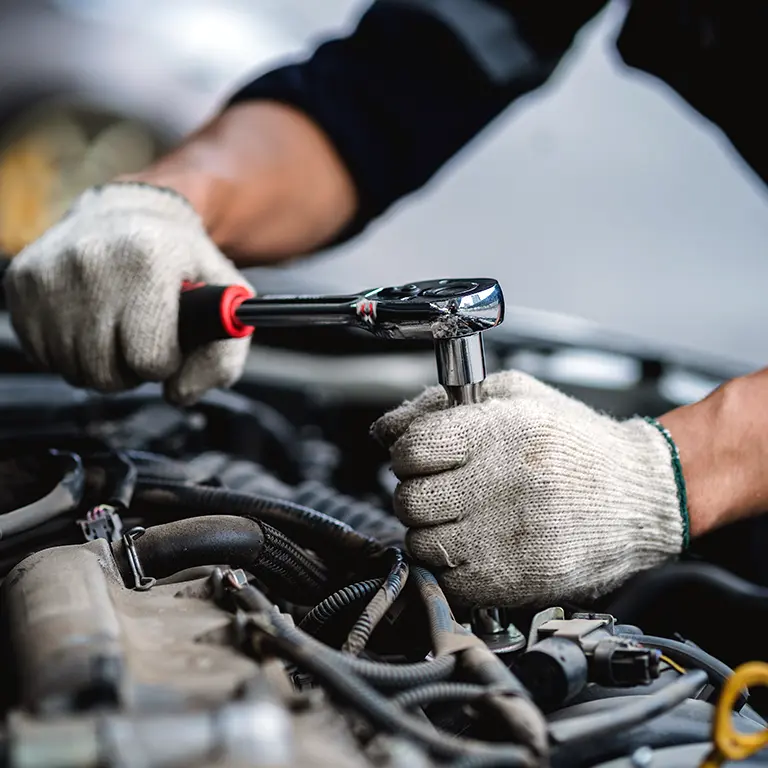 bercar otomotiv izmir ford servisi